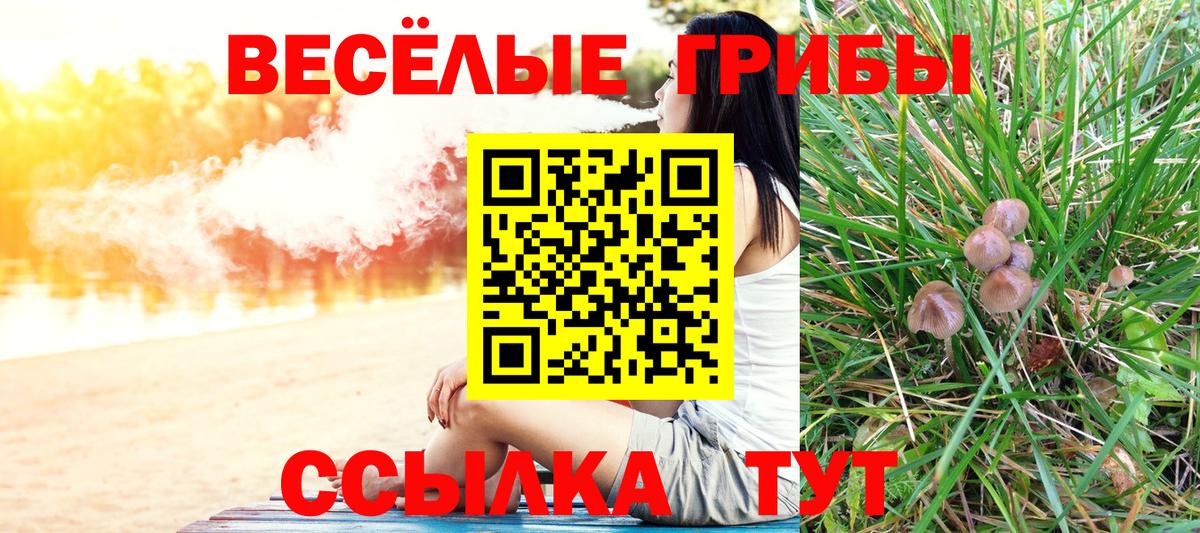 Галлюциногенные грибы мицелий Нижнеудинск