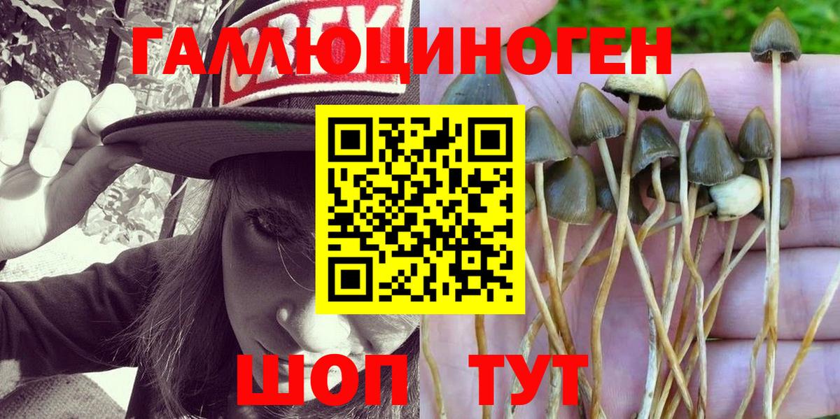 Галлюциногенные грибы Magic Shrooms  Псилоцибиновые грибы мухоморы  Вход с VPN  Нижнеудинск 